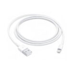 USB polnilni kabel za Apple iPhone Lightning 1m White (Box)